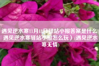 遇见逆水寒11月18日驿站小报答案是什么(遇见逆水寒驿站小报怎么玩）(遇见逆水寒无情)