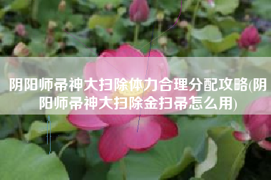 阴阳师帚神大扫除体力合理分配攻略(阴阳师帚神大扫除金扫帚怎么用)
