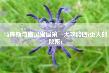 马库斯与幽灵鬼屋第一天攻略四(更大的秘密)