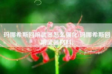玛娜希斯回响武器怎么强化(玛娜希斯回响武器材料)