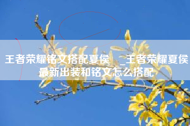 王者荣耀铭文搭配夏侯惇_王者荣耀夏侯惇最新出装和铭文怎么搭配