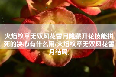 火焰纹章无双风花雪月隐藏开花技能拼死的决心有什么用(火焰纹章无双风花雪月结局)