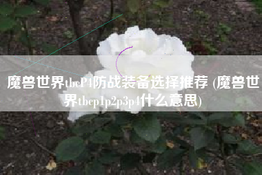 魔兽世界tbcP4防战装备选择推荐 (魔兽世界tbcp1p2p3p4什么意思)