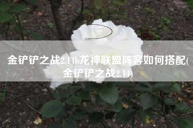 金铲铲之战2.14b龙神联盟阵容如何搭配(金铲铲之战2.14)