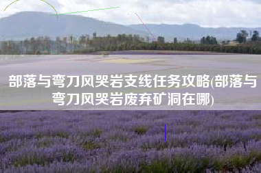 部落与弯刀风哭岩支线任务攻略(部落与弯刀风哭岩废弃矿洞在哪)