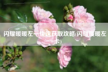 闪耀暖暖左一快速获取攻略(闪耀暖暖左一卡)