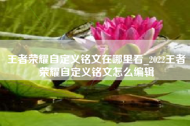 王者荣耀自定义铭文在哪里看_2022王者荣耀自定义铭文怎么编辑