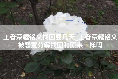 王者荣耀铭文找回要几天_王者荣耀铭文被恶意分解找回和原来一样吗
