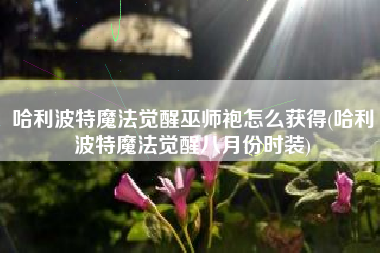 哈利波特魔法觉醒巫师袍怎么获得(哈利波特魔法觉醒八月份时装)