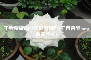 王者荣耀FMVP皮肤有哪些(王者荣耀fmvp有哪些人)