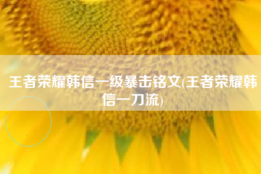 王者荣耀韩信一级暴击铭文(王者荣耀韩信一刀流)