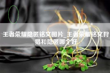 王者荣耀隐匿铭文图片_王者荣耀铭文狩猎和隐匿哪个好