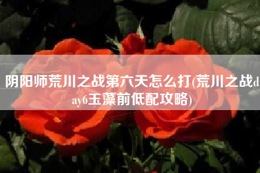 阴阳师荒川之战第六天怎么打(荒川之战day6玉藻前低配攻略)