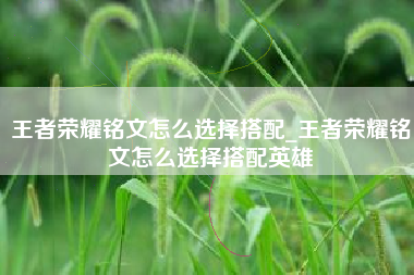 王者荣耀铭文怎么选择搭配_王者荣耀铭文怎么选择搭配英雄