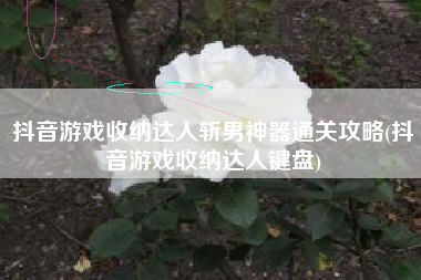 抖音游戏收纳达人斩男神器通关攻略(抖音游戏收纳达人键盘)
