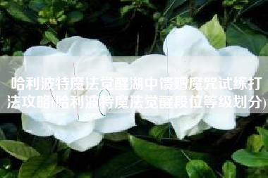 哈利波特魔法觉醒湖中馈赠魔咒试练打法攻略(哈利波特魔法觉醒段位等级划分)