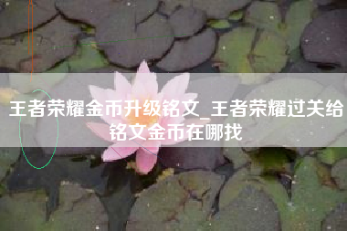 王者荣耀金币升级铭文_王者荣耀过关给铭文金币在哪找