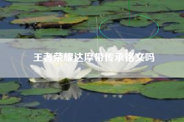 王者荣耀达摩带传承铭文吗