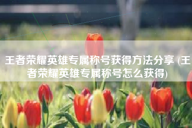王者荣耀英雄专属称号获得方法分享 (王者荣耀英雄专属称号怎么获得)