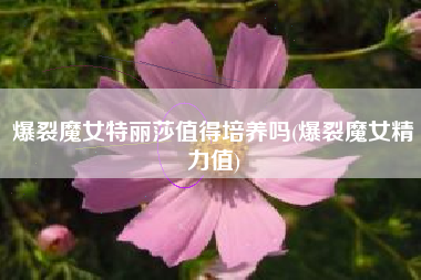 爆裂魔女特丽莎值得培养吗(爆裂魔女精力值)