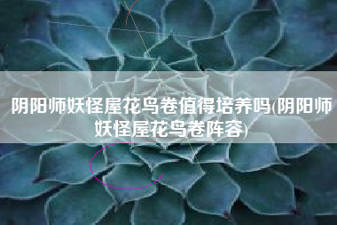 阴阳师妖怪屋花鸟卷值得培养吗(阴阳师妖怪屋花鸟卷阵容)