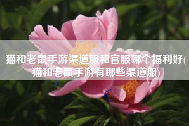 猫和老鼠手游渠道服和官服哪个福利好(猫和老鼠手游有哪些渠道服)