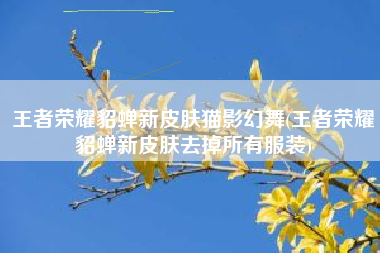 王者荣耀貂蝉新皮肤猫影幻舞(王者荣耀貂蝉新皮肤去掉所有服装)