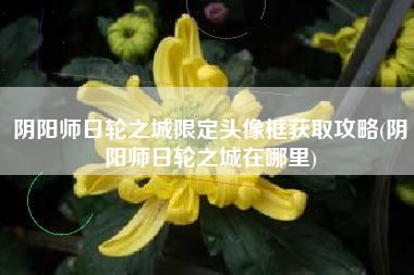 阴阳师日轮之城限定头像框获取攻略(阴阳师日轮之城在哪里)