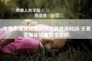 王者荣耀体验服限时点券使用时间(王者荣耀体验服限定皮肤)