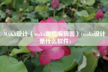 MAKA设计（maka微信编辑器）(maka设计是什么软件)