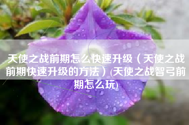 天使之战前期怎么快速升级（天使之战前期快速升级的方法）(天使之战智弓前期怎么玩)