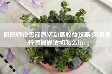 阴阳师铃雪遥思活动高收益攻略(阴阳师铃雪遥思活动怎么玩)