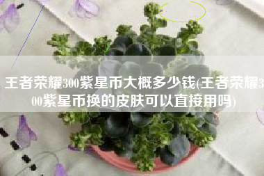 王者荣耀300紫星币大概多少钱(王者荣耀300紫星币换的皮肤可以直接用吗)