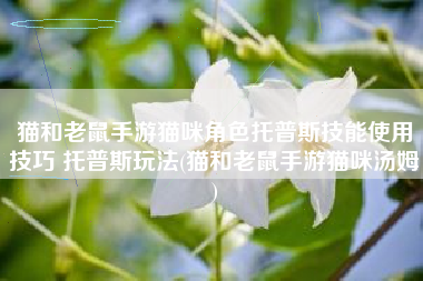 猫和老鼠手游猫咪角色托普斯技能使用技巧 托普斯玩法(猫和老鼠手游猫咪汤姆)
