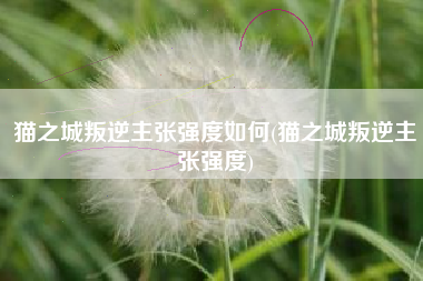 猫之城叛逆主张强度如何(猫之城叛逆主张强度)