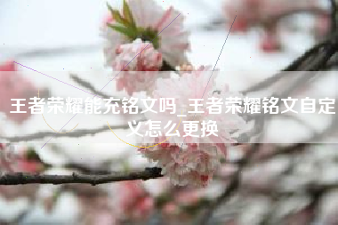 王者荣耀能充铭文吗_王者荣耀铭文自定义怎么更换
