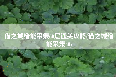 猫之城绪能采集60层通关攻略(猫之城绪能采集40)