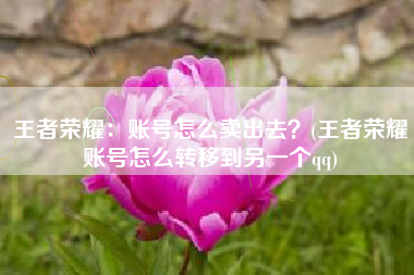 王者荣耀：账号怎么卖出去？(王者荣耀账号怎么转移到另一个qq)