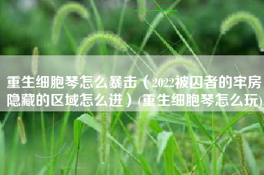 重生细胞琴怎么暴击（2022被囚者的牢房隐藏的区域怎么进）(重生细胞琴怎么玩)