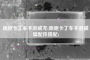 跑跑卡丁车手游威龙(跑跑卡丁车手游威猛配件搭配)