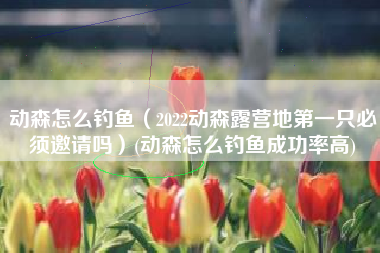 动森怎么钓鱼（2022动森露营地第一只必须邀请吗）(动森怎么钓鱼成功率高)