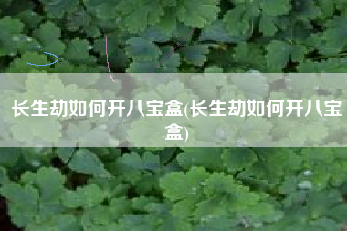 长生劫如何开八宝盒(长生劫如何开八宝盒)