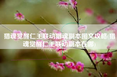猎魂觉醒仁王联动猎魂副本图文攻略(猎魂觉醒仁王联动副本在哪)