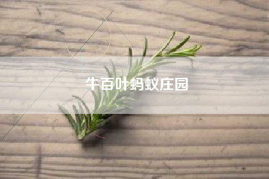牛百叶蚂蚁庄园