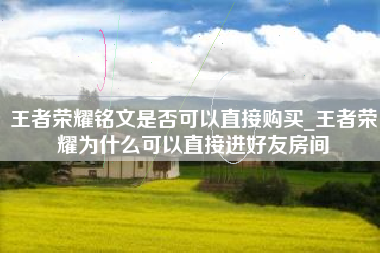 王者荣耀铭文是否可以直接购买_王者荣耀为什么可以直接进好友房间