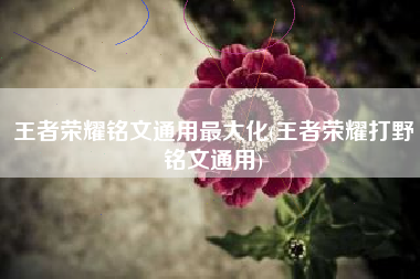 王者荣耀铭文通用最大化(王者荣耀打野铭文通用)