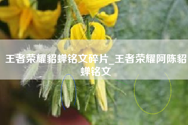 王者荣耀貂蝉铭文碎片_王者荣耀阿陈貂蝉铭文