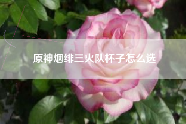 原神烟绯三火队杯子怎么选