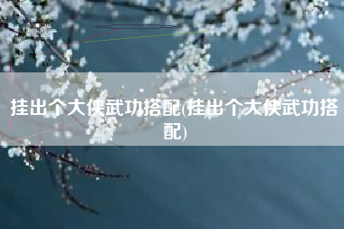 挂出个大侠武功搭配(挂出个大侠武功搭配)