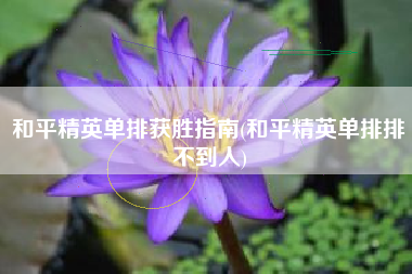 和平精英单排获胜指南(和平精英单排排不到人)